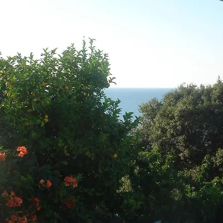 Katerina Fotopoulos - With Sea View Apartament *