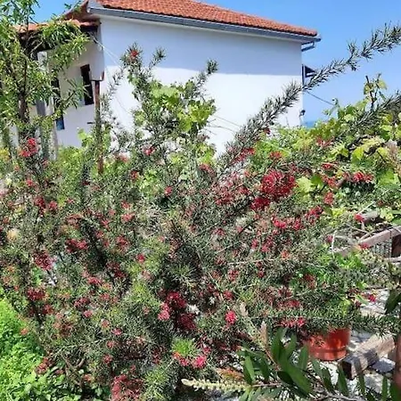 Apartament Katerina Fotopoulos - With Sea View *