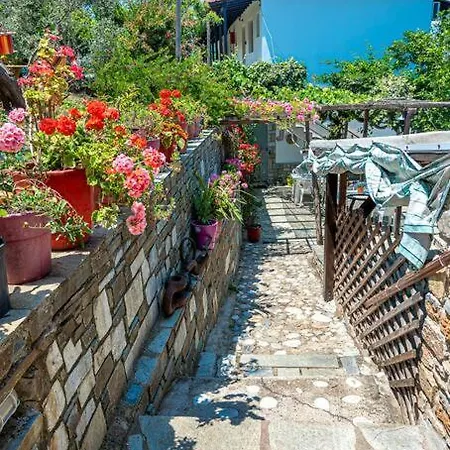 Apartament Katerina Fotopoulos - With Sea View
